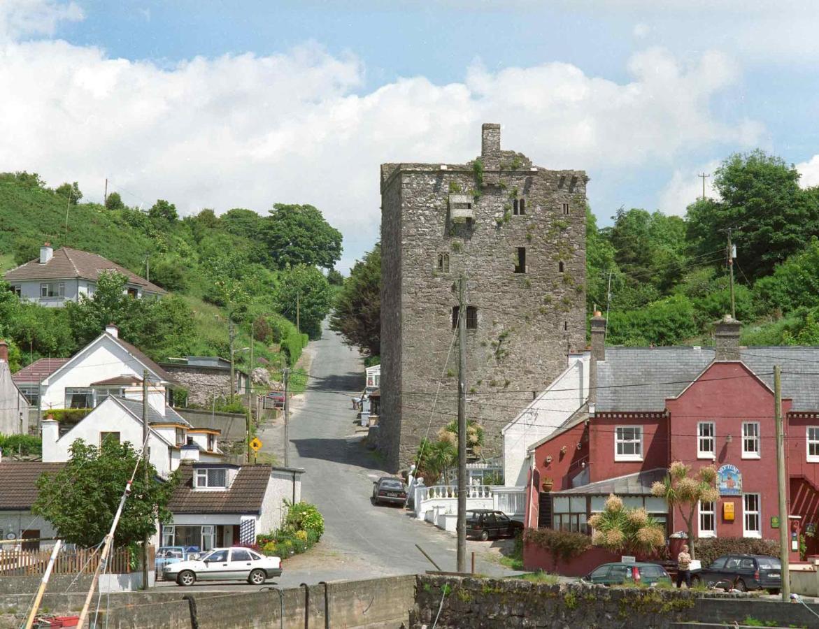 Ballyhack By The Sea Arthurstown Buitenkant foto